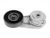 натяжной ролик сборки Belt Tensioner:06 14 533