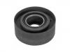 导带轮 Idler Pulley:77 00 862 615