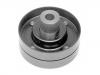 Polea loca, polea tensora Idler Pulley:77 00 862 744