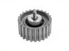 Polea loca, polea tensora Idler Pulley:500388688