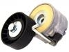 натяжной ролик сборки Belt Tensioner:504086948