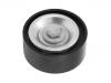 导带轮 Idler Pulley:82 00 598 966