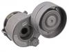 натяжной ролик сборки Belt Tensioner:82 00 492 180